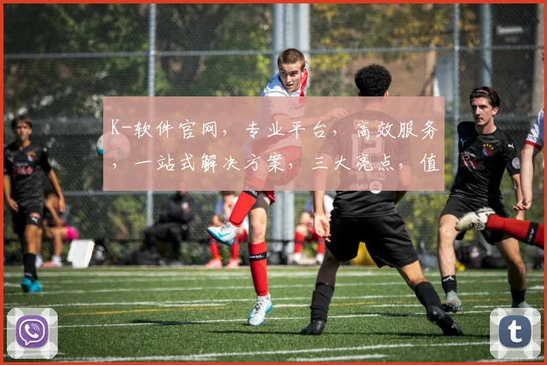 K-软件官网，专业平台，高效服务，一站式解决方案，三大亮点，值得信赖，体验非凡。