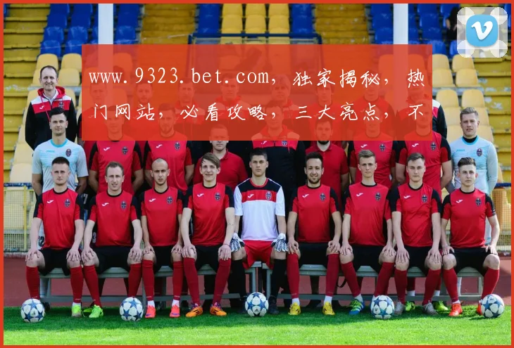 www.9323.bet.com，独家揭秘，热门网站，必看攻略，三大亮点，不容错过
