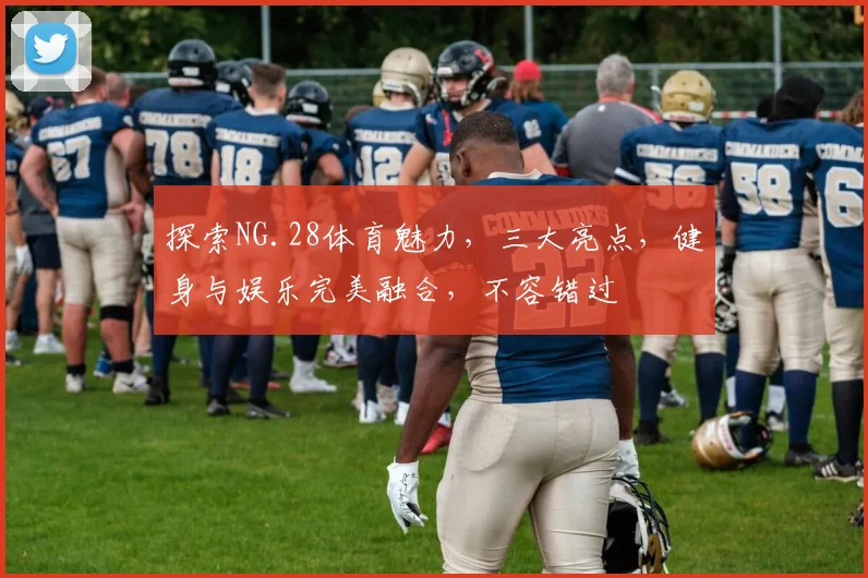 探索NG.28体育魅力，三大亮点，健身与娱乐完美融合，不容错过